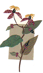 山ホトトギス