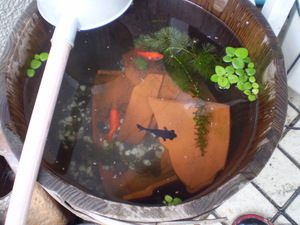高圧洗浄機