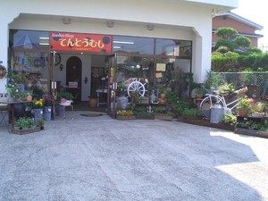 第８回出店者のご紹介【Ｇａｒｄｅｎｓｈｏｐてんとうむし】