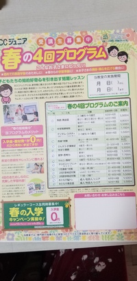 eccjrfudamoto chesuto jp