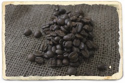 竹薪で珈琲焙煎… 竹薪で珈琲焙煎…