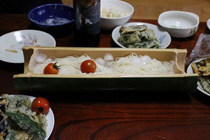 やっぱり、ひやむぎ! やっぱり、ひやむぎ!