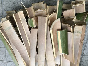 竹取りの翁になりました… 竹取りの翁になりました…