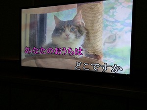 夏休みの締め! 夏休みの締め!