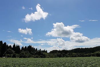 晴れました! 晴れました!