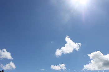 晴れました! 晴れました!