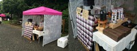 ＧＷの報告１ 2015/05/08 14:26:31