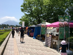 申込完了‼︎桜まつりマーケット 申込完了‼︎桜まつりマーケット