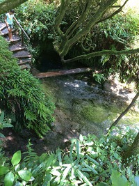美味しい水 2015/07/31 15:49:01