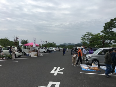 丸岡公園フリーマーケット始まりました‼︎