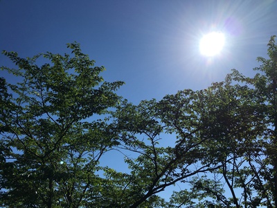 五月晴れ!@丸岡公園 五月晴れ!@丸岡公園
