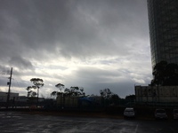 惜別の雨 2016/02/13 10:58:43