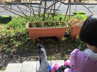 春だなぁ… 春だなぁ…