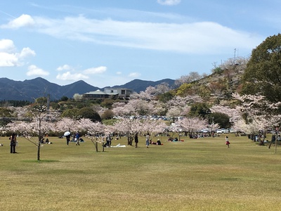 最高! 最高!
