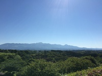 五月晴れ！＠丸岡公園 2016/05/12 09:56:05