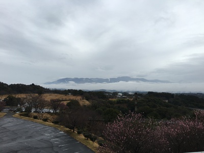 雲海 雲海