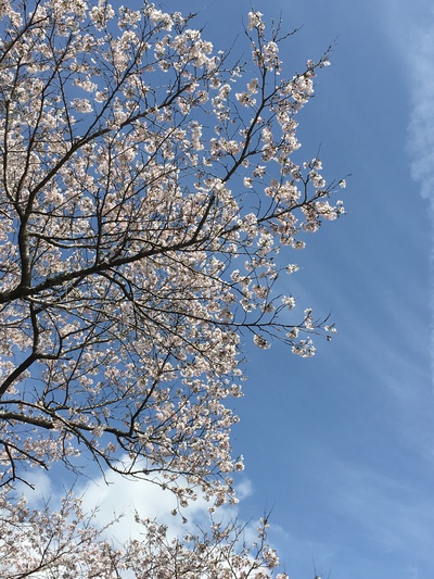 最高! 最高!