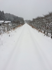 JR肥薩線 2016/01/24 17:05:45