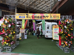 本日最終日‼︎ 本日最終日‼︎