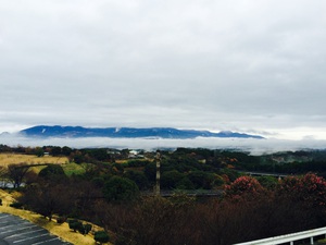 雲海‼︎ 雲海‼︎