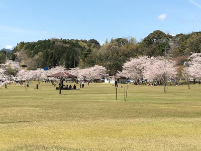 最高! 最高!
