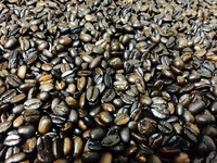 薪火焙煎コーヒーとは…？ 2016/07/23 02:25:19