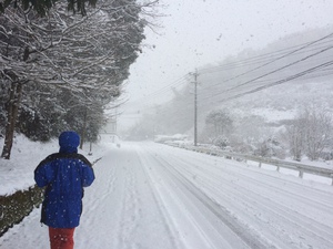雪中ジョギング… 雪中ジョギング…