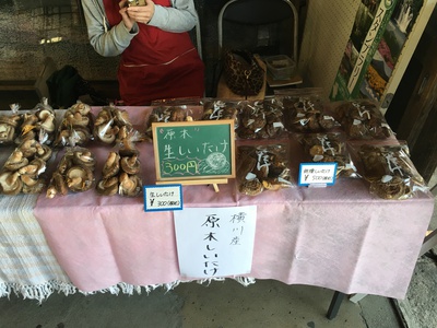 【イベント情報】えきカフェ@大隅横川駅 【イベント情報】えきカフェ@大隅横川駅