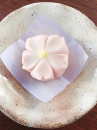 和菓子&色々なお知らせ