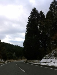 枕崎おチャベリ会開催しました♪