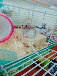 *恋太郎♪* 2017/10/03 07:35:28
