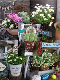 *我が家のお花事情* 2018/04/10 12:57:31