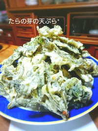 *たらの芽の天ぷら♪* 2017/04/04 11:13:49