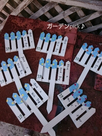 *SENDAIマルシェ*へ 2017/04/28 23:14:49