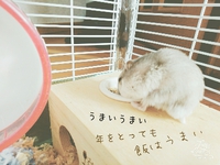 *恋太郎* 2018/03/14 06:20:09