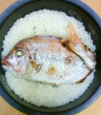 鯛飯作った（*^_^*）