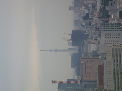 今更の東京タワー