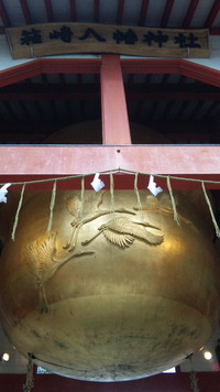 今年の冬は出水へどうぞ☆
