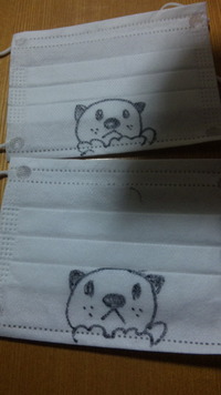 なんだか変だぞミジュマル