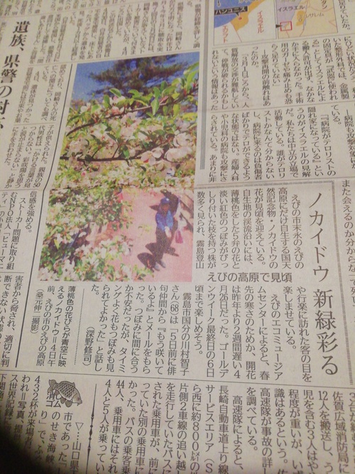 ゆとろぎす的　ニュース