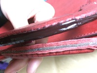 ご無沙汰しておりました
