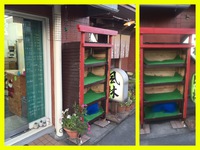 岸良の中村さんちのポンカン 2016/12/17 22:49:17