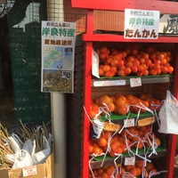岸良たんかんの無人販売スタート 2018/02/27 23:09:27