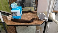ヘアドネーション 2022/08/19 23:07:00