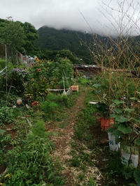 久しぶりに帰省 2020/06/01 21:08:55