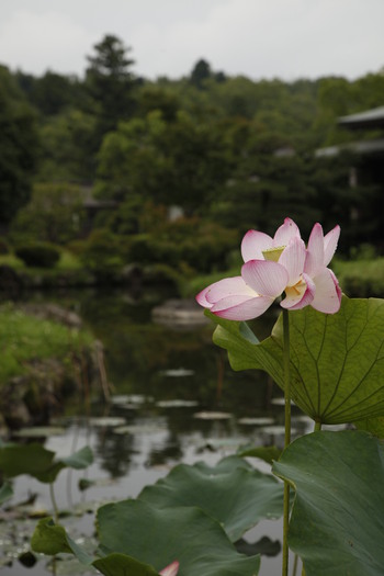 大分へ、整備組合の研修旅行。 大分へ、整備組合の研修旅行。