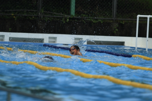 水泳大会 水泳大会