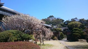 ☆島津別邸 重富荘 ☆島津別邸 重富荘