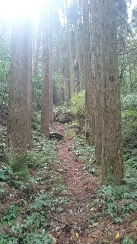 ☆島津義弘公初陣の地 岩剣(いわつるぎ)城 ☆島津義弘公初陣の地 岩剣(いわつるぎ)城