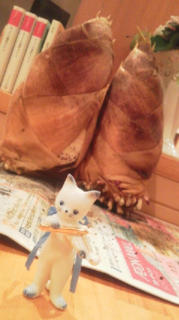 たけのこ たけのこ
